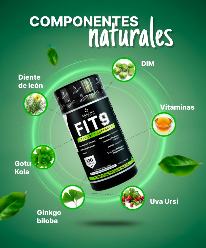 FIT 9 — Sascha Fitness